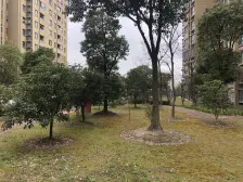 50万方的购物配套,近地铁低密度