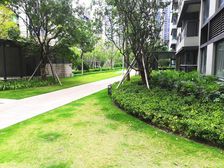 华发业主急售未来荟中层精装三房