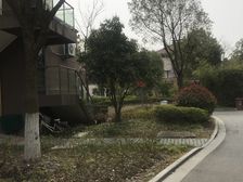 人车分流洋房送大露台精装修可做四房随时看房