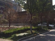 百联商圈+金光路+龙湖天街+南桥车站+望园路