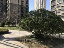 高新区 精装修两室 南北通透 近跨海大桥 雕塑公园