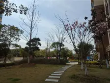 姑苏区虎池苑 地铁6号8号 大三房 中间楼层 全天采光