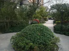 临河花园洋房 精心装修 超大客厅 送花园送地下室双车位