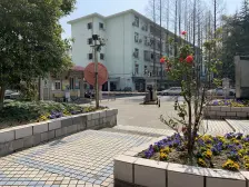 桃园公寓,高区,电梯房,户型方正,视野好