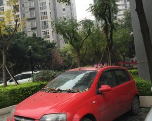 双桂社区36号院2室1厅南
