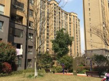 百联商圈+金光路+龙湖天街+南桥车站+望园路