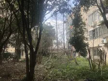 新装修 双南 满五家具家电全新