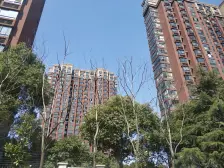 此房满五年唯1,南北通透格局,视野宽阔,采光充足