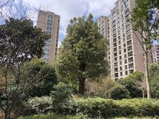 润地华庭3室2厅南北