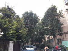 新上好房!看房方便,改动性强,地铁方便