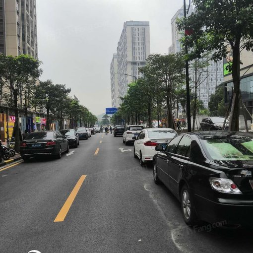 奥园香雪公馆3室1厅2卫南朝向5000.00元/月出租