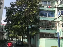 老闵行·红旗五村·1室·1厅