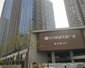 东方希望天祥广场 6室2厅 东