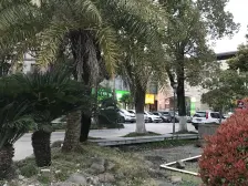 双层地下室,带50平的大花园,税费只要一个点!