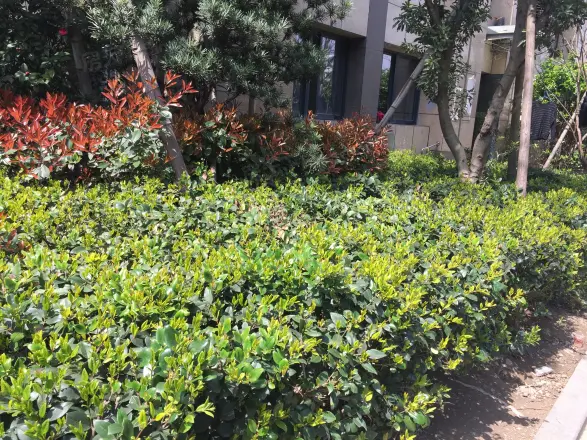 铭豪观樾