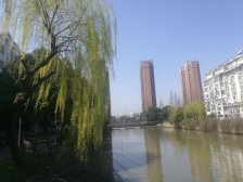安亭·泰东公寓·5室·2厅