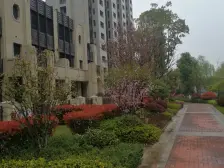 次新小区 高品质 高素质住户 次顶楼 视野好 拎包入住