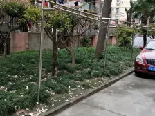 中间楼层,精装修,全明户型,东边套