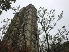 正荣物业,板楼建筑,户型方正,配套设施齐全