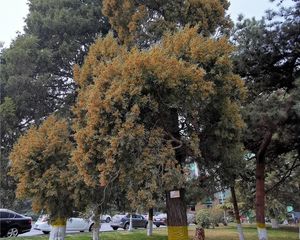 玉泉路·玉泉路19号院·2室·1厅