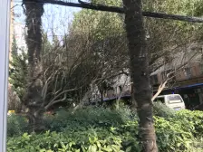 内环内+近地铁+美丽家园+精装修+采光好