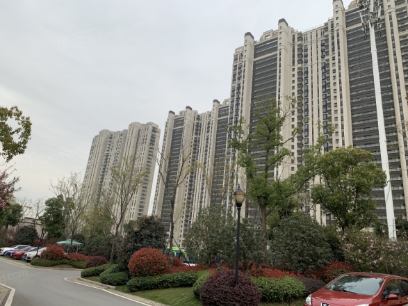 金象朗诗红树林