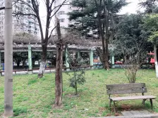 普陀区中环边电梯两房,满五,14/11/15/20号线