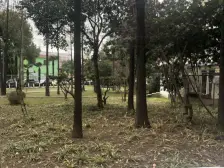 店长主推,非一楼,阳光充足,满五年,双南卧室,好谈