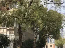 新上,小区花园位置,精装修,中间楼层,采光无遮挡