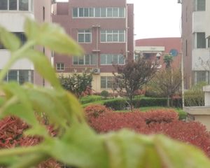 天仁绿色花苑大三室小高层采光好