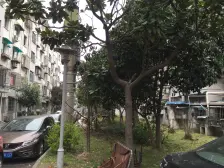 纪念小区 3室2厅 南