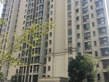 品质小区中高区电梯房无遮挡南北采光刺眼