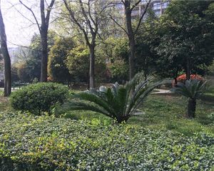 金沙名庭1室1厅南