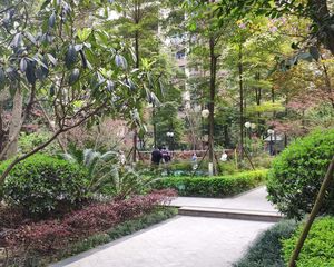 德坤新天地1室1厅南