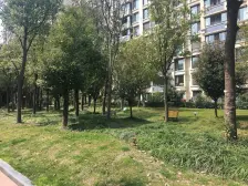 带产权车位,电梯房 采光好,随时看房 店长力推