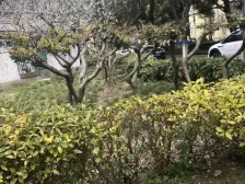 楼层好,视野采光无遮挡,诚心卖,近地铁,配套齐全。
