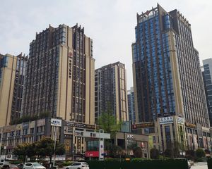 德坤新天地1室1厅西南