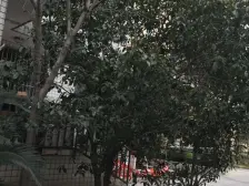 阳光大厦(普陀) 3室2厅 南