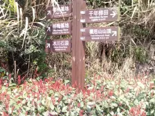 不靠马路,满五年,中间楼层,双校,近地铁配套齐全