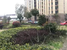 永康城玉兰苑 2室1厅 南 北