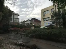 双拼别墅 附赠地下室 200+大花园 精装修可拎包