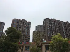 简装出售,采光充足,视野旷阔,随时可看