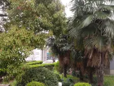 大团镇·芦洋花园·3室·2厅