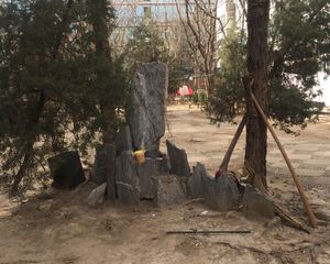 八里庄北里1号院3室1厅东南