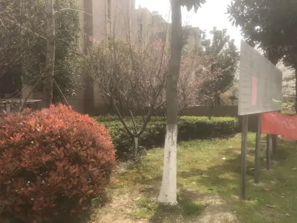 长安人家