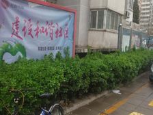 莲怡园一区2室1厅西南