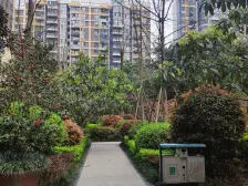 德坤新天地 1室1厅 东南