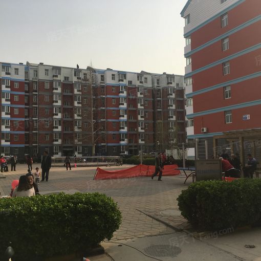 Õû×⡤²©öÎÇàÄê³ÇAÇø 3ÊÒ2Ìü ÄÏ/±±