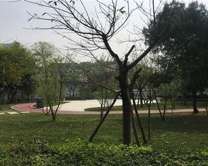 上品金沙2室2厅东南西北
