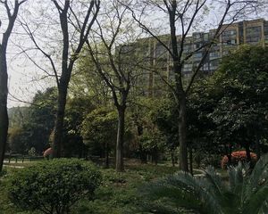 金沙名庭1室1厅西南